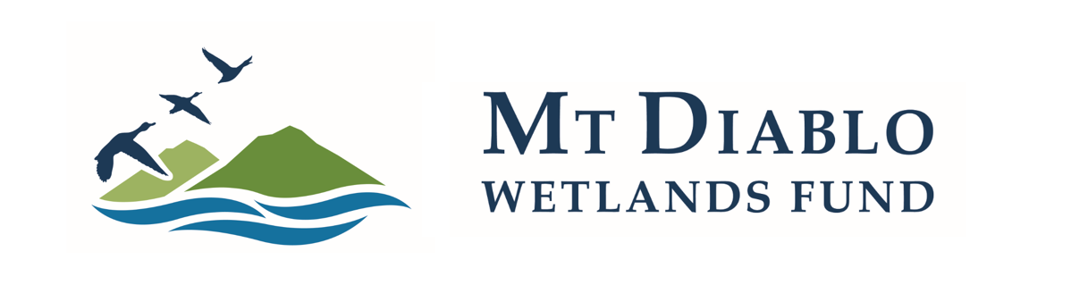 Mt. Diablo Wetlands Fund