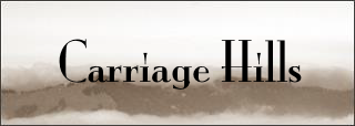 Carriage Hills Metropolitan District