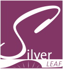 Silver Leaf Metropolitan District
